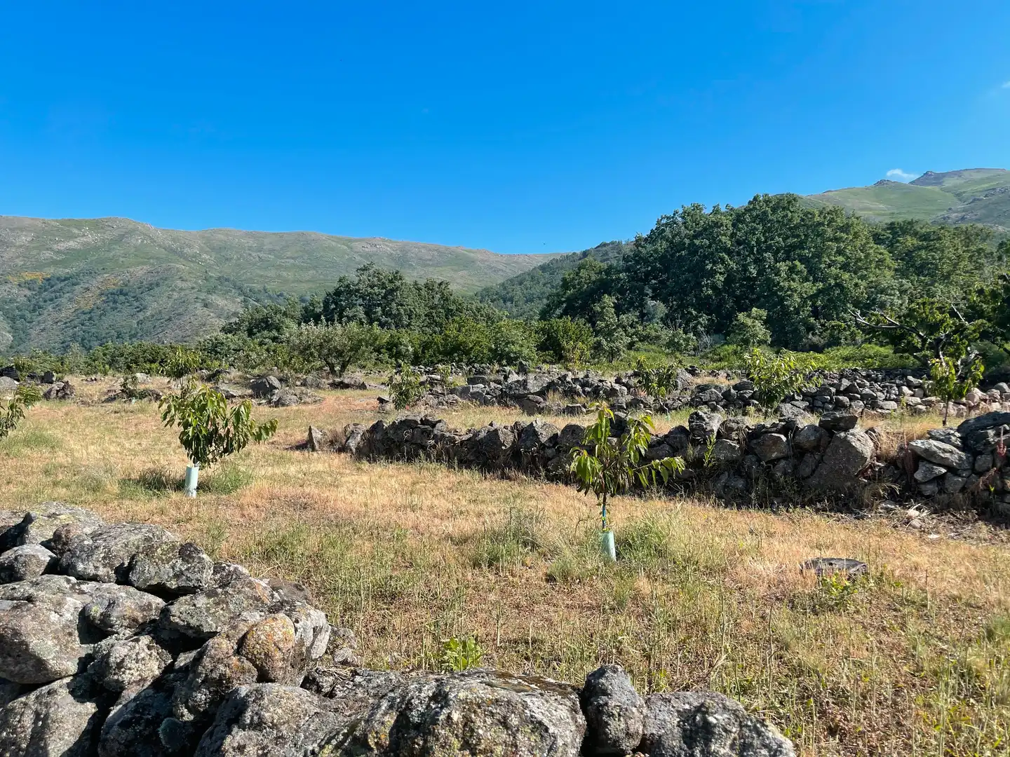 Terreni e lotti in vendita a Garganta la Olla, imagen 5