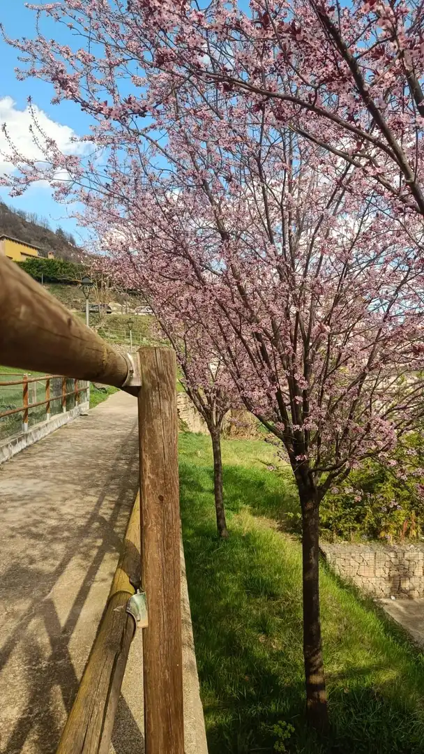 Vista exterior de Finca rústica en venta en Gombrèn
