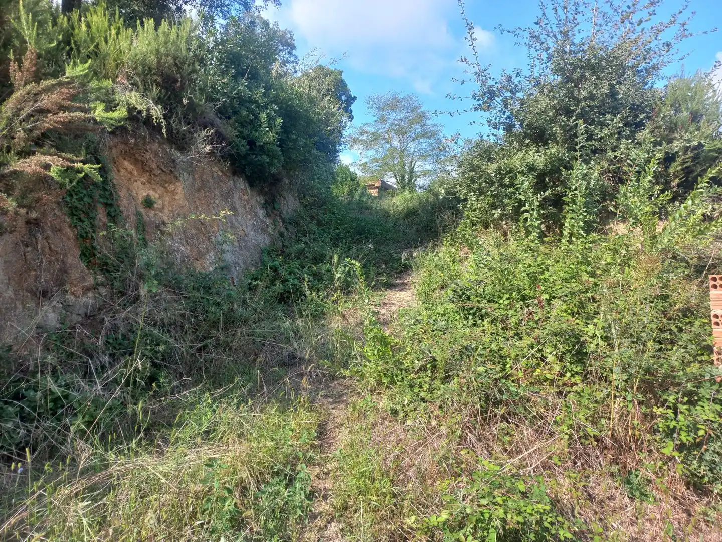 Lands and plots for sale in Bigues i Riells del Fai, imagen 2