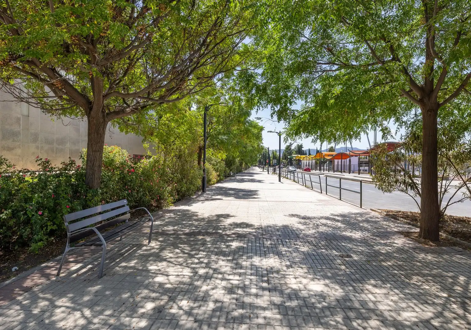 Piso con terraza en venta en Calle Cañaveral, imagen 15