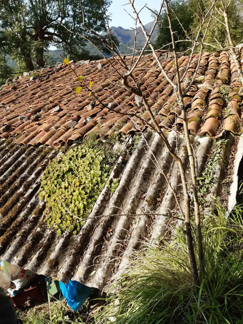 Jardín de Casa o chalet en venta en Belmonte de Miranda