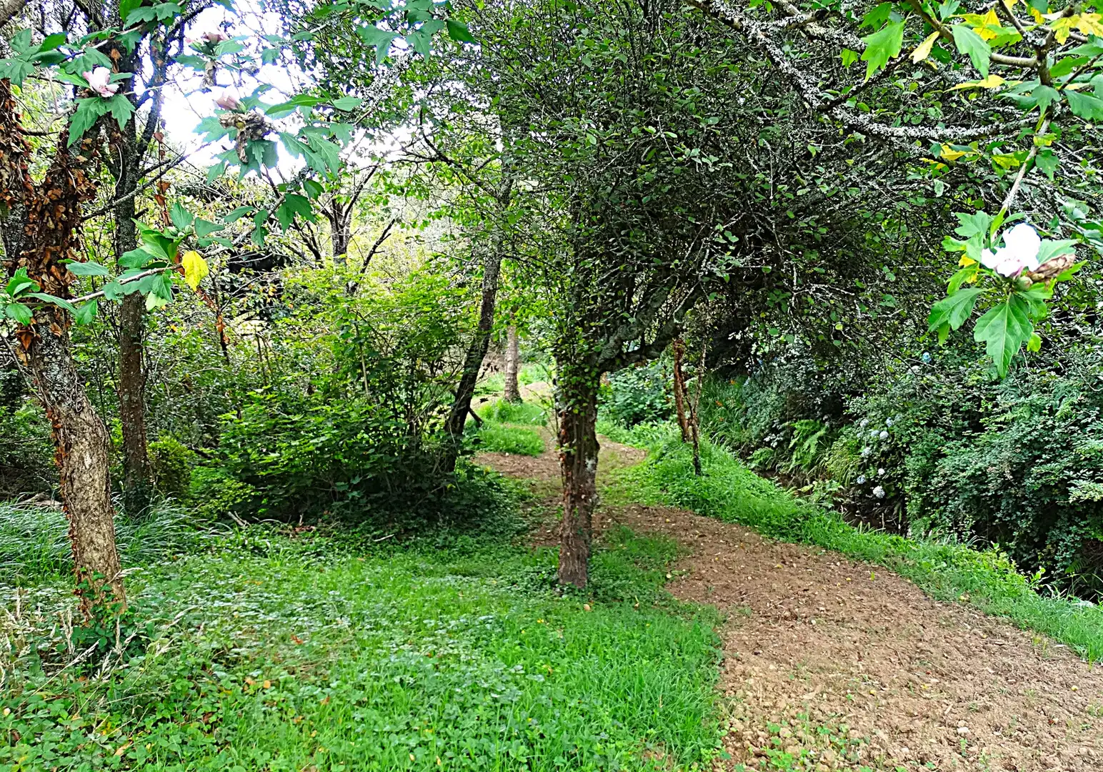 Vista exterior de Finca rústica en venda en Narón amb Calefacció, Jardí privat i Parquet