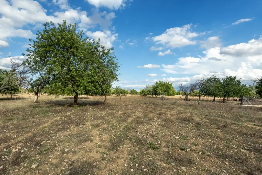 Country house for sale in Campanet, imagen 24