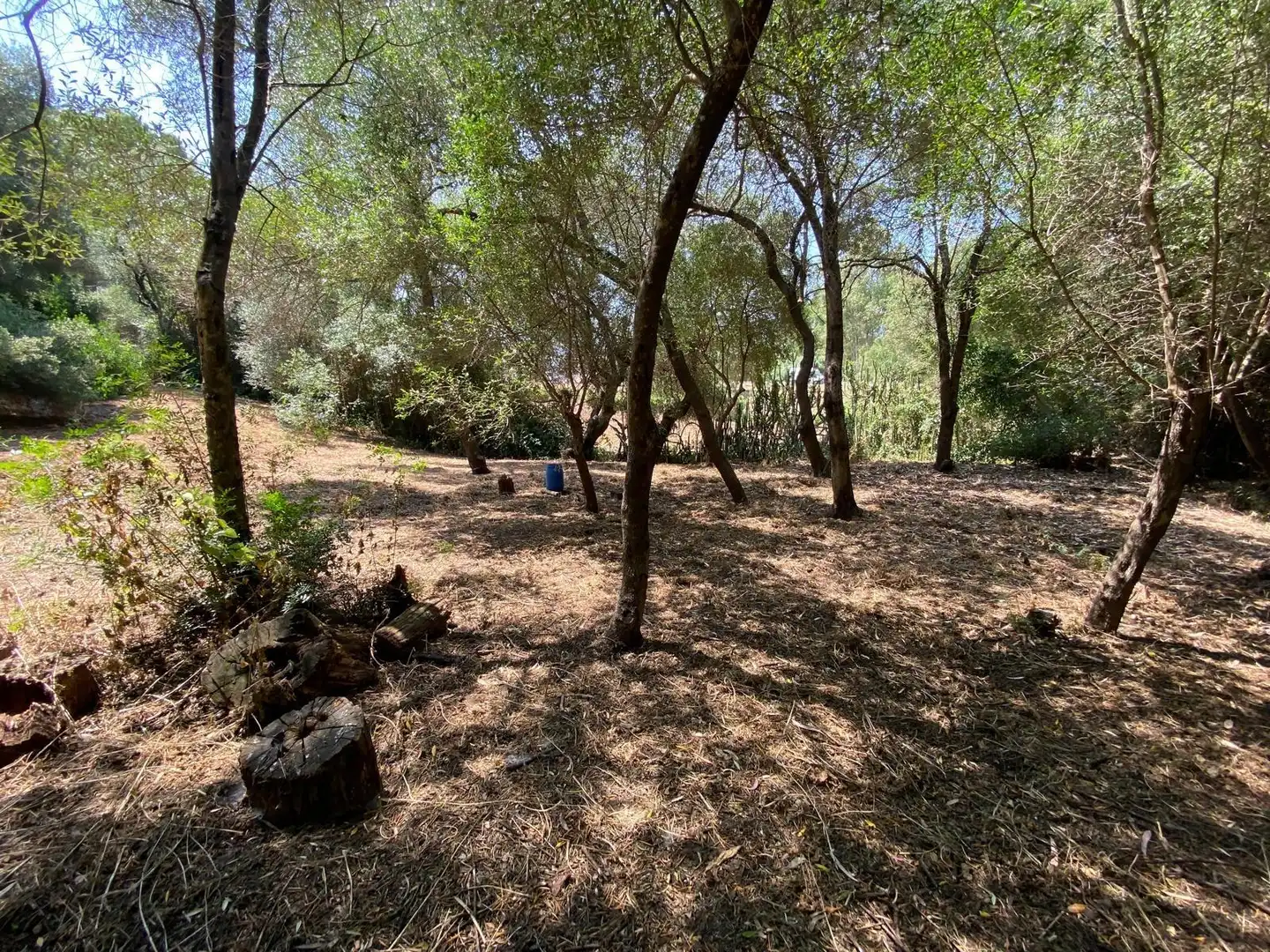 Casa o xalet en venda en Los Barrios amb Jardí privat, Terrassa i Traster