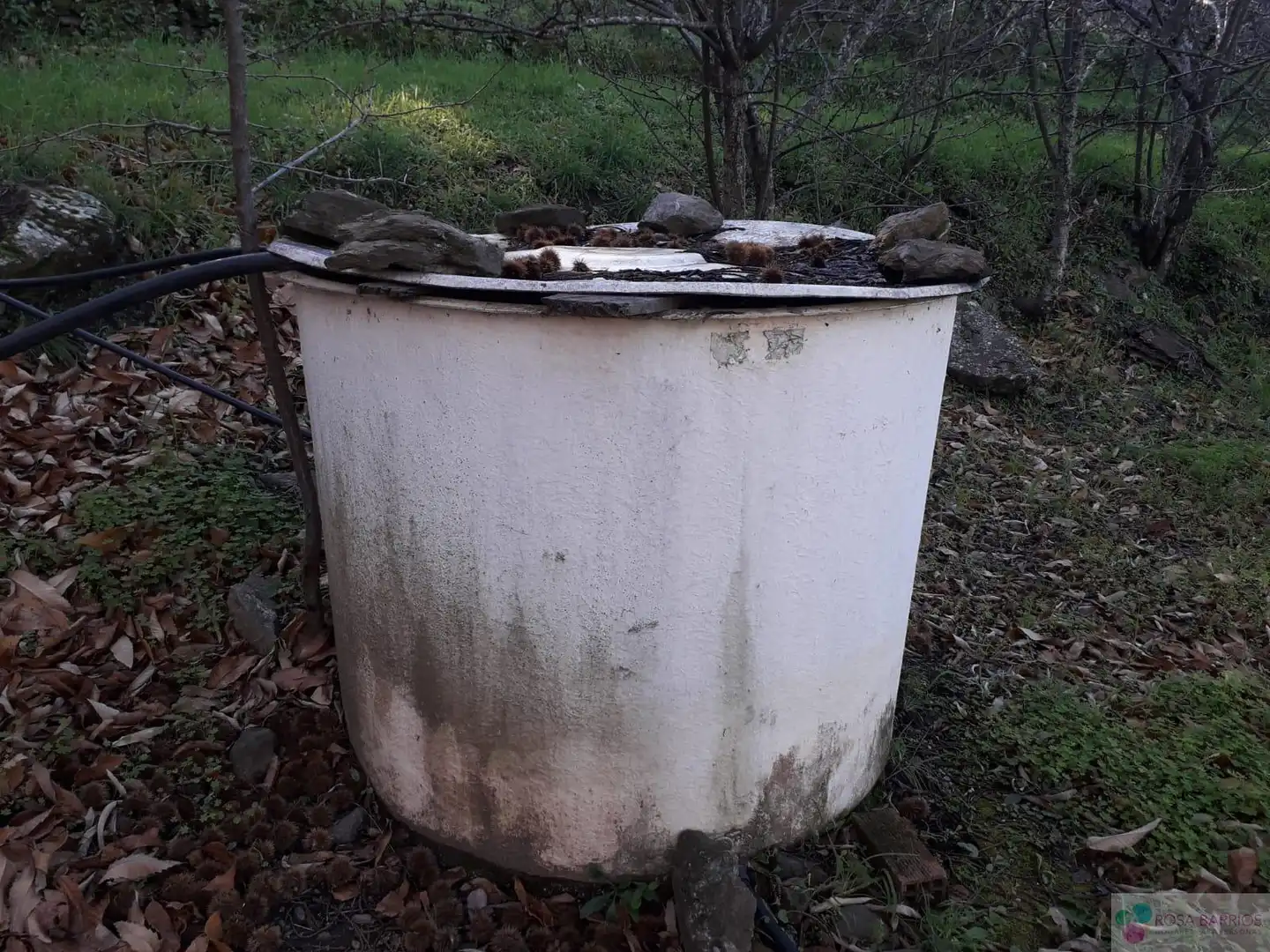 Finca rústica en venda a Genalguacil