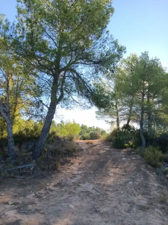 Terreni e lotti in vendita a Calaceite, imagen 6