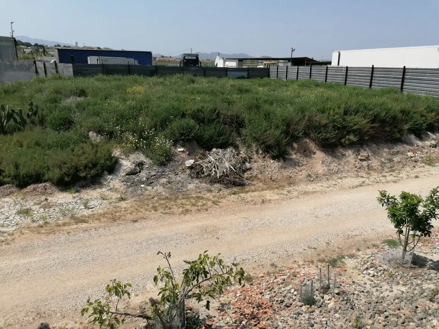 Terreno en venta en Murcia