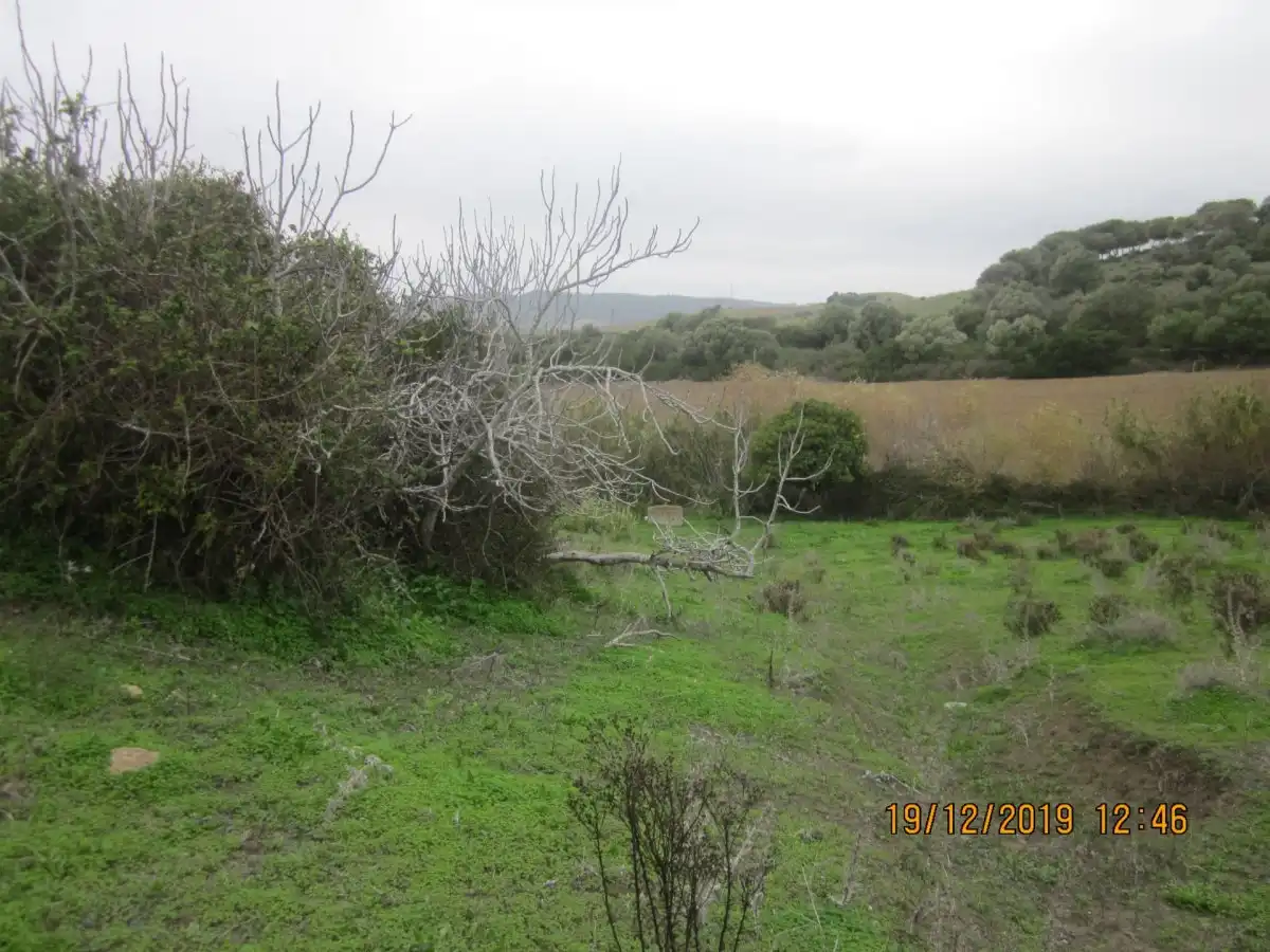 Terrain rustique à vendre à Vejer, imagen 2