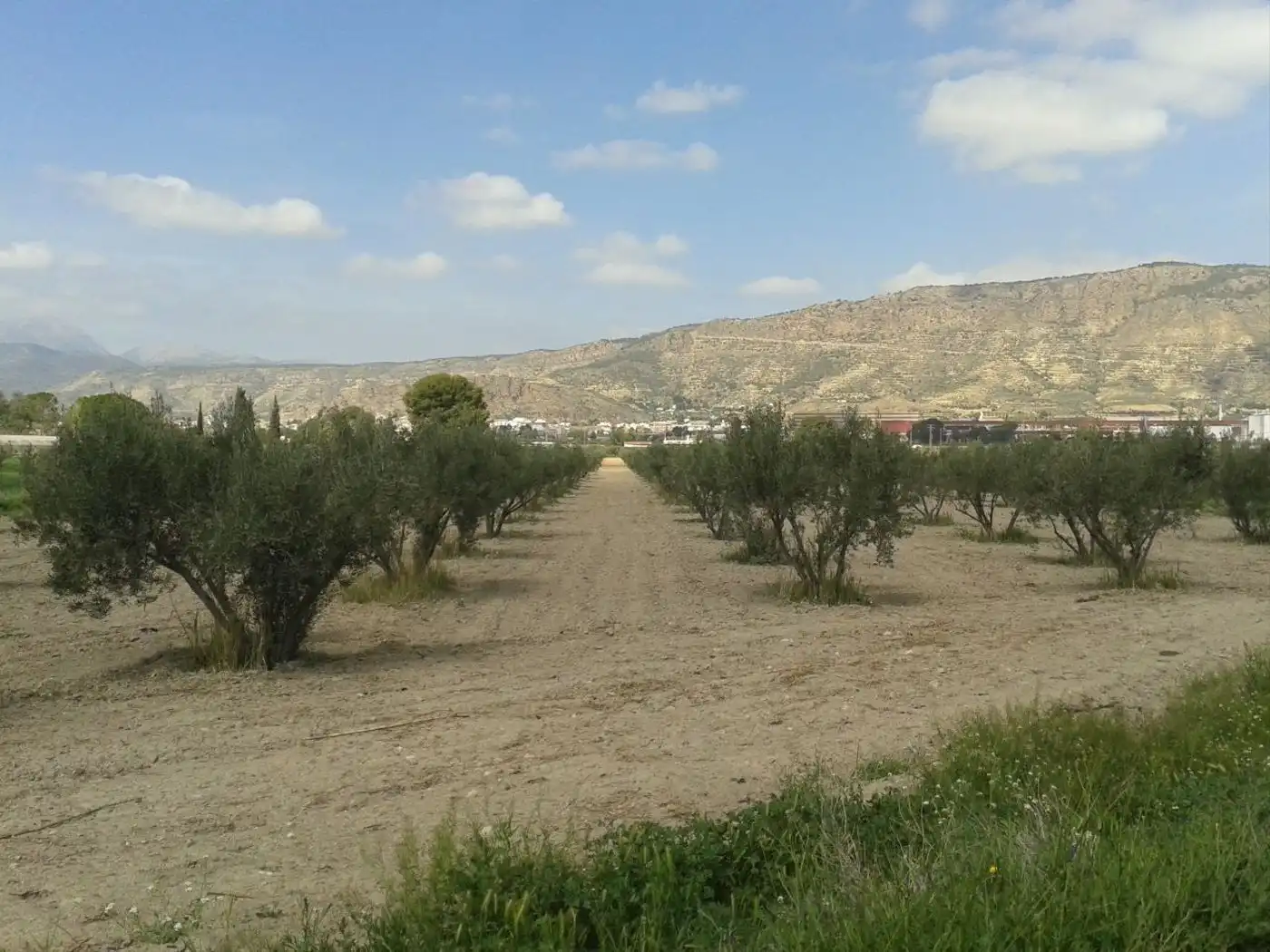 Exterior view of Industrial land for sale in Alhama de Murcia