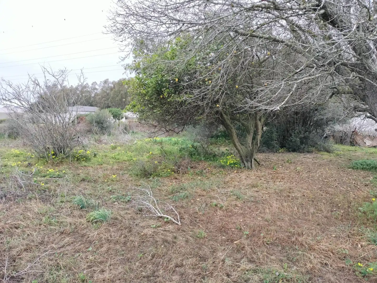 Terrenys i solars en venda a Pelagatos - Pago del Humo, imagen 8