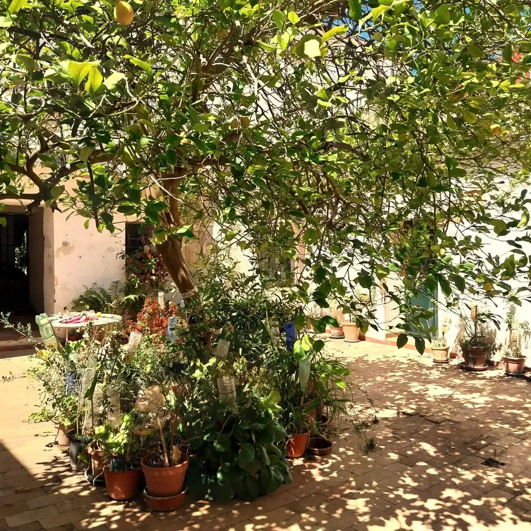 Jardín de Casa o chalet en venta en Carmona