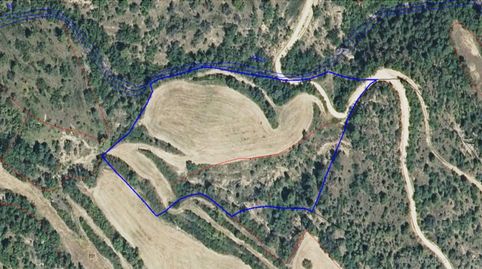 FINCA RUSTICA EN VENTA EN PANILLO, immagine 2