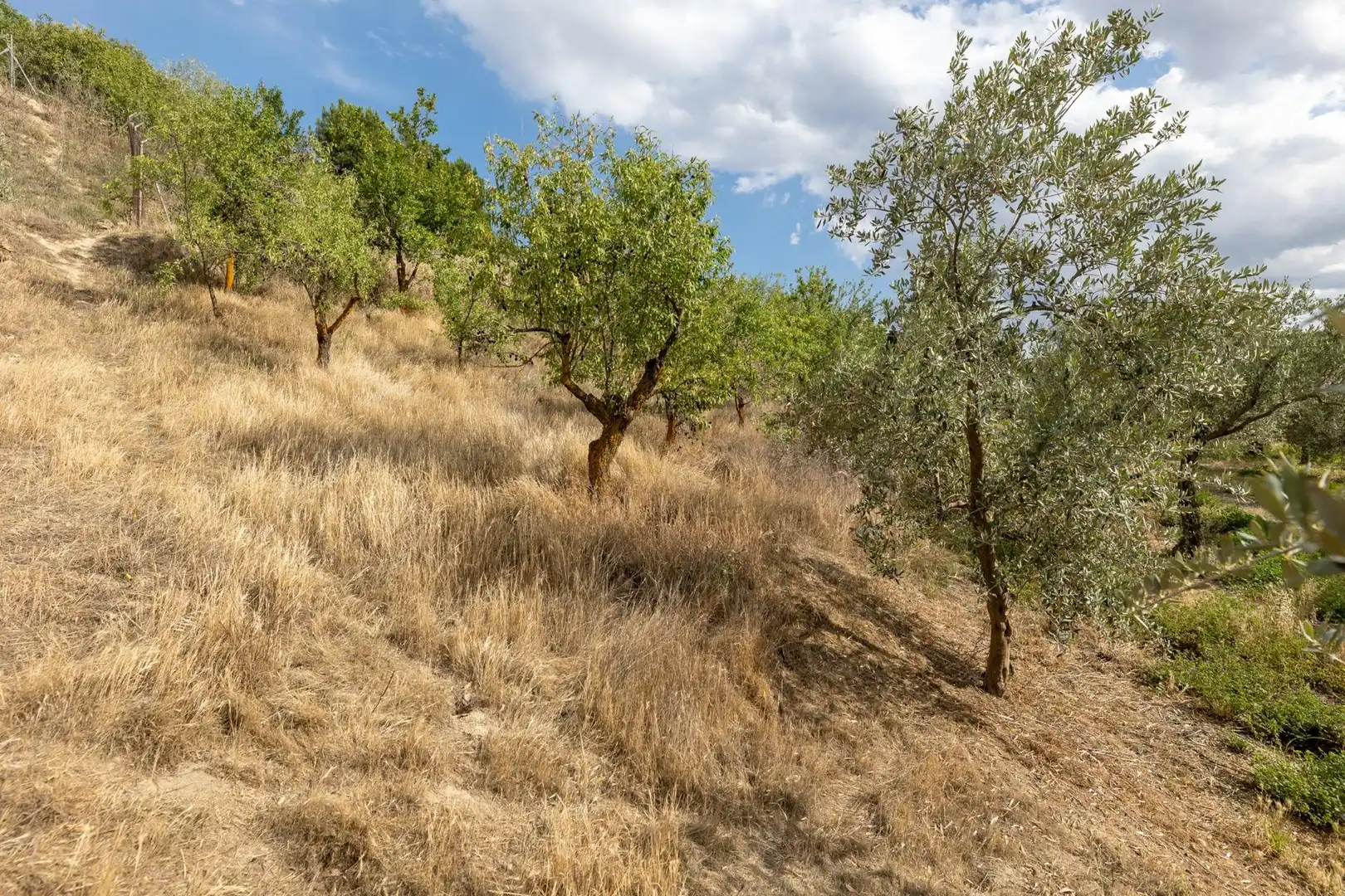 Terreno rustico in vendita a Calle POL 1, PARC 176, imagen 13