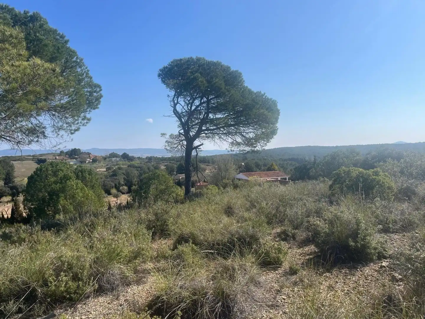 Terreni e lotti in vendita a Almansa, imagen 9