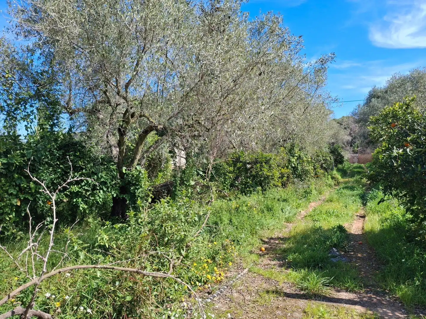 Casa rustica in vendita a Travesera de Ramell 169, imagen 16