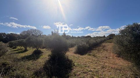 Foto 3 von Residential zum Verkauf in 16, Son Servera Poble, Son Servera