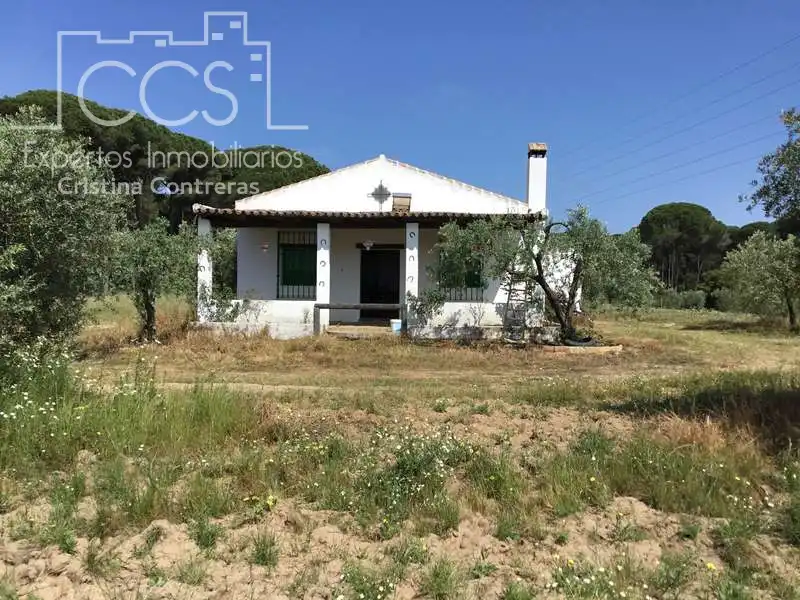 Vista exterior de Finca rústica en venda en Almonte amb Terrassa i Moblat