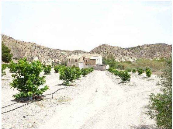 Terreno residencial en Venta en Ricote