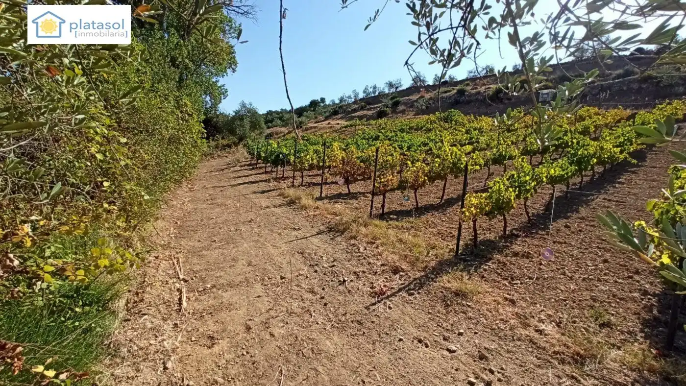 Terreni e lotti in vendita a de la Piedra Caballera