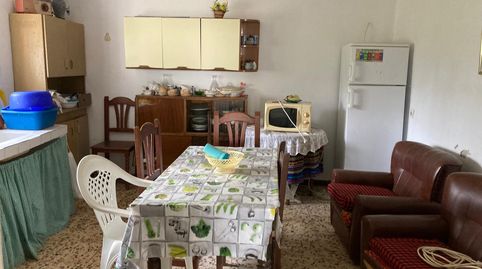 FINCA RUSTICA EN LA MUELA CON CASA PARA REFORMAR, immagine 5