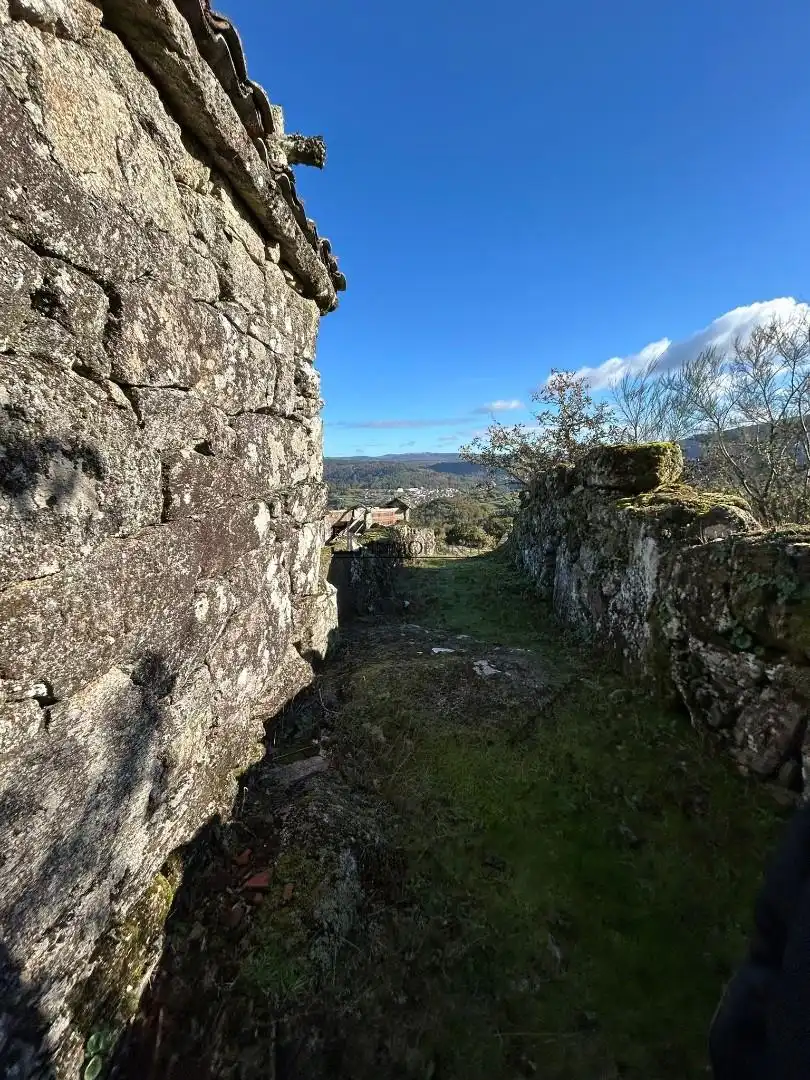 Vista exterior de Casa o xalet en venda en Cerdedo amb Jardí privat