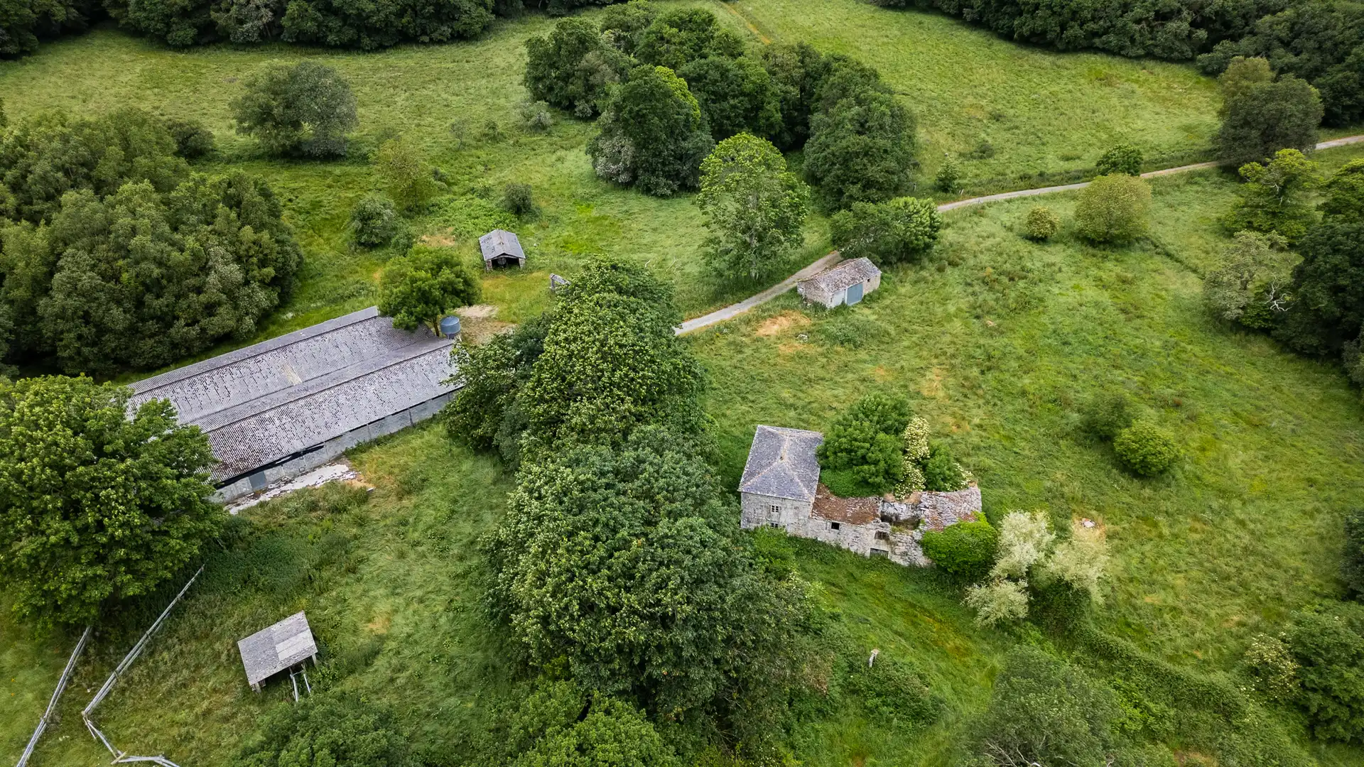 Finca rústica en venta en Friol