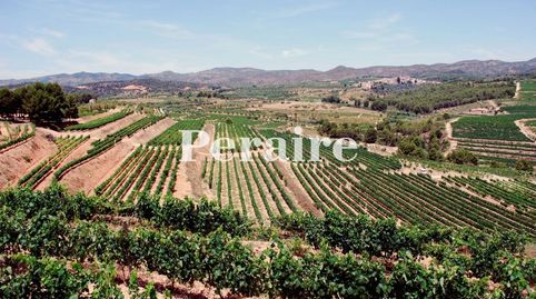 Foto 4 von Geschaftsraum zum Verkauf in Falset, Tarragona
