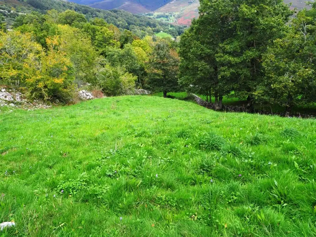 Xalet amb terrassa en venda a Lugar Rioseco 19, imagen 38