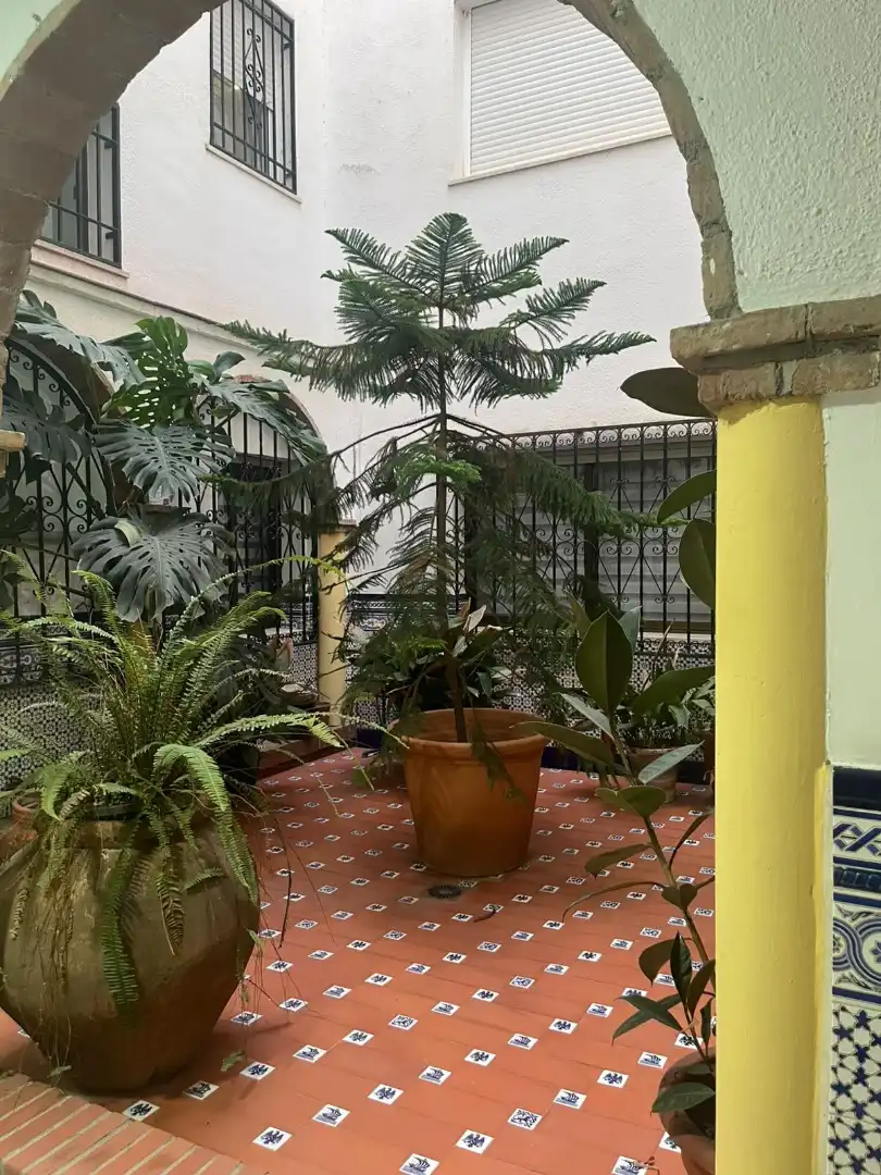 Piso con terraza en venta en Calle Afán de Ribera, imagen 22
