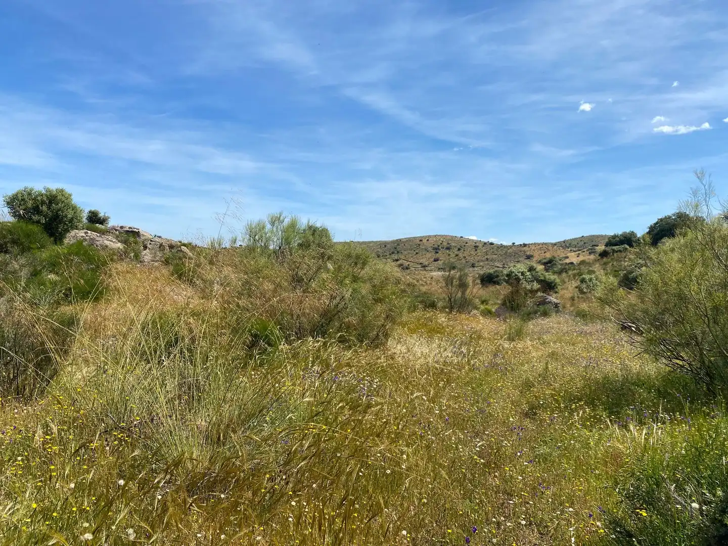 Terreni e lotti in vendita a Villar del Pedroso, imagen 34