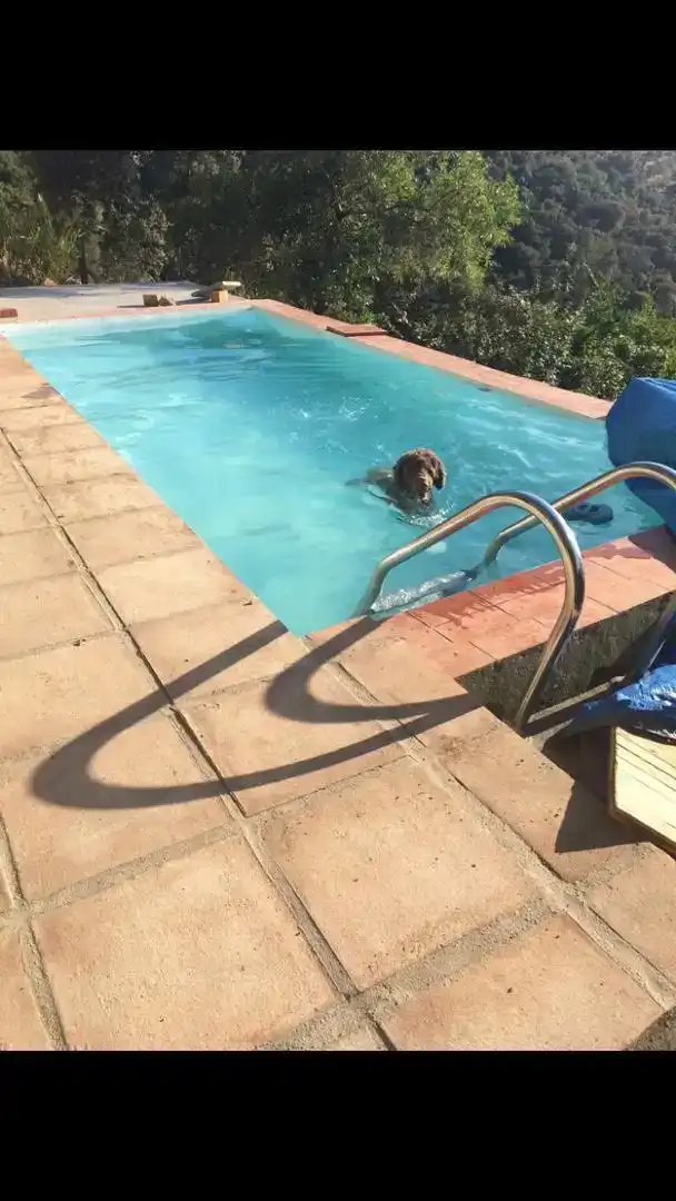 Piscina de Finca rústica en venda en Pozoblanco amb Jardí privat, Piscina i Balcó