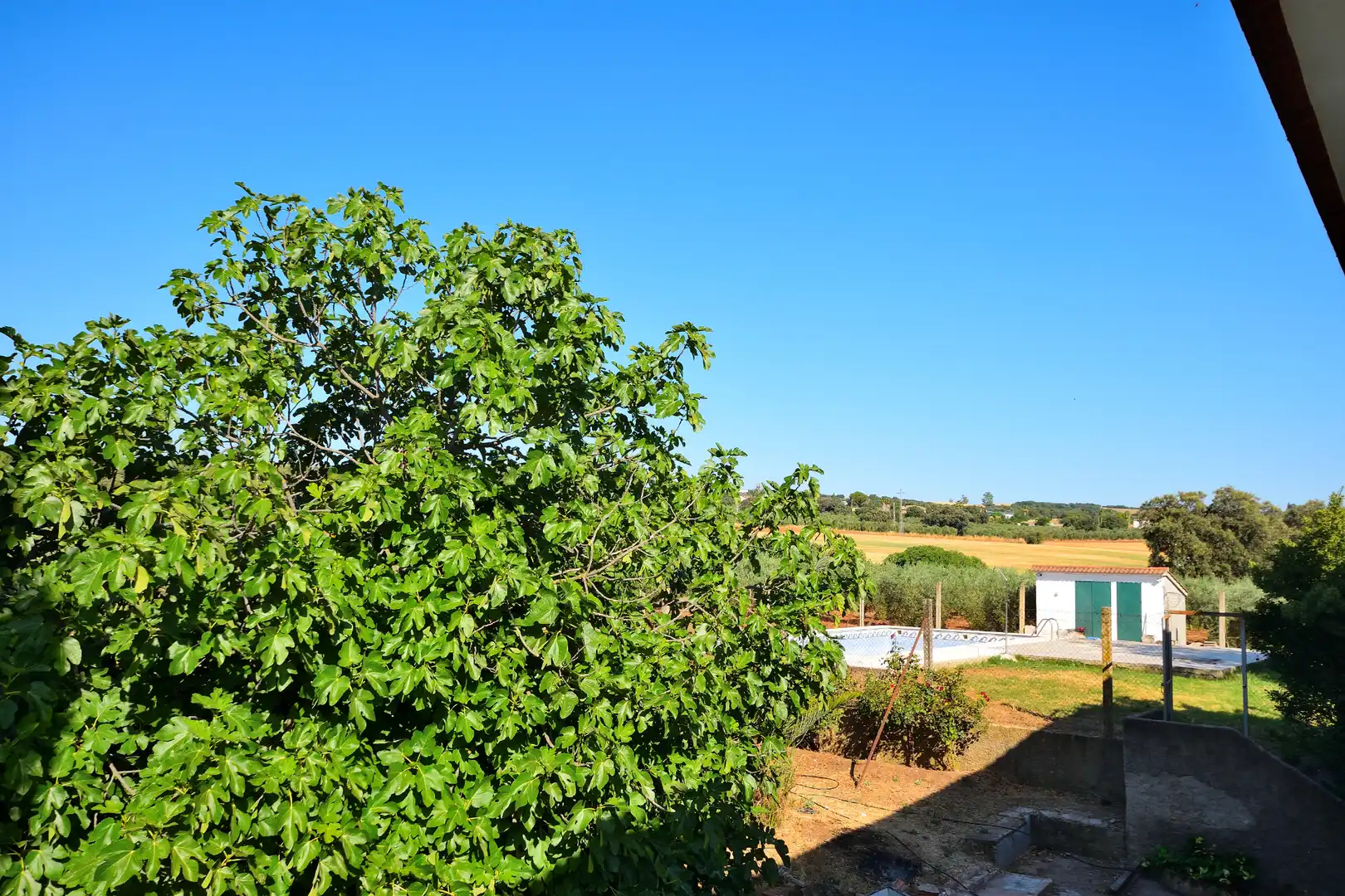 Jardín de Finca rústica en venta en Setenil de las Bodegas con Jardín privado, Terraza y Trastero