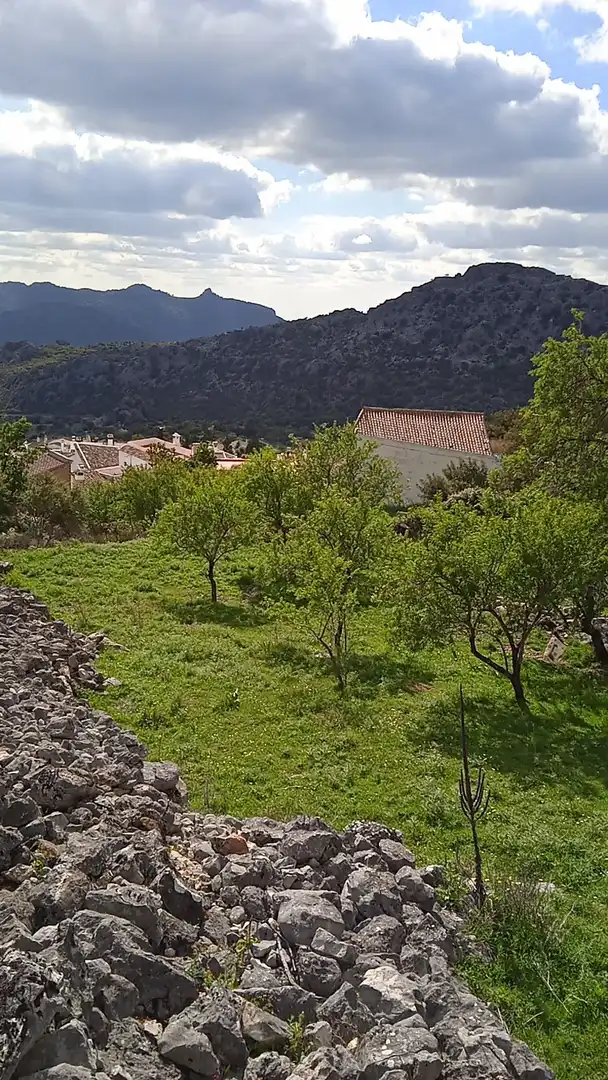 Terrain rustique à vendre à Benaocaz, imagen 10