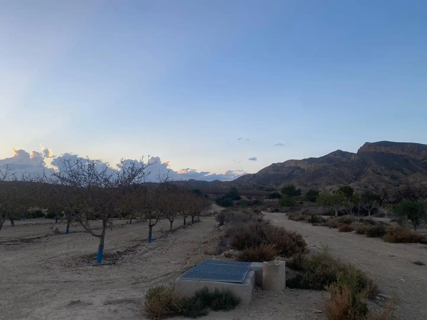 Land for sale in Camí de l'Alcoraia, 21, Cañada del Fenollar