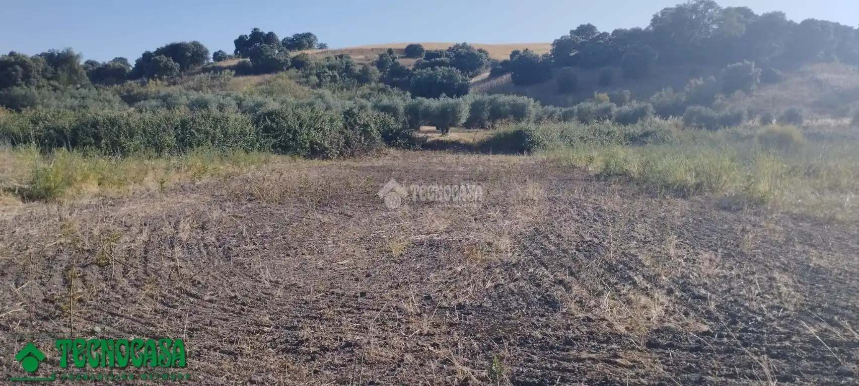 Terreni e lotti in vendita a Méntrida, imagen 10
