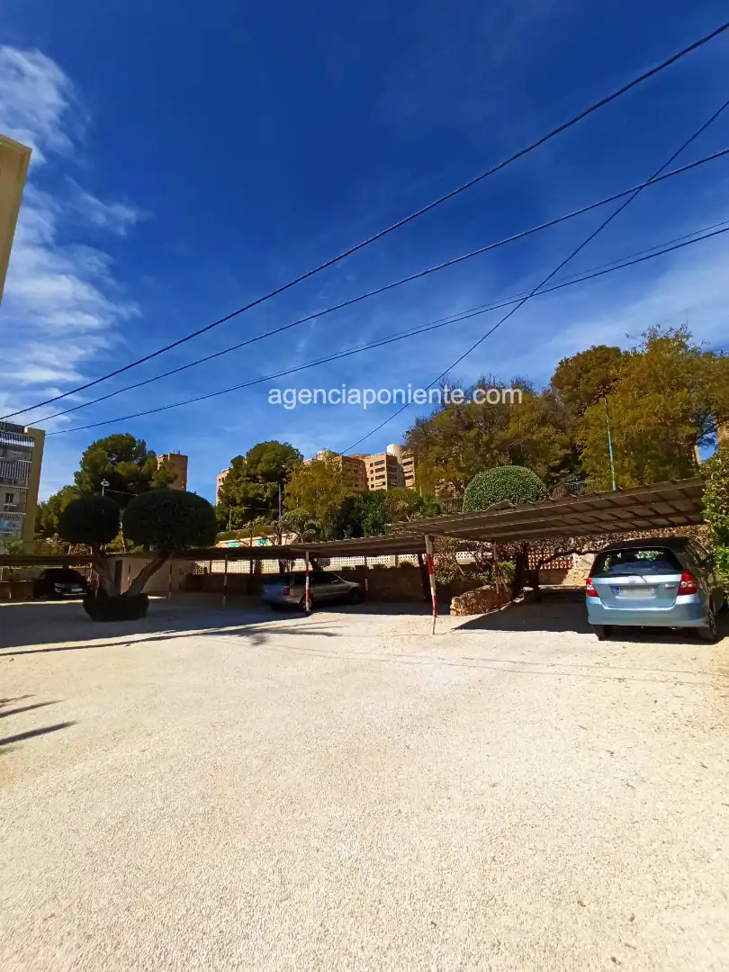 Apartments for rent in Avenida Murtal, Playa Poniente