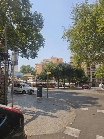 Local comercial en Alquiler en Pere Garau