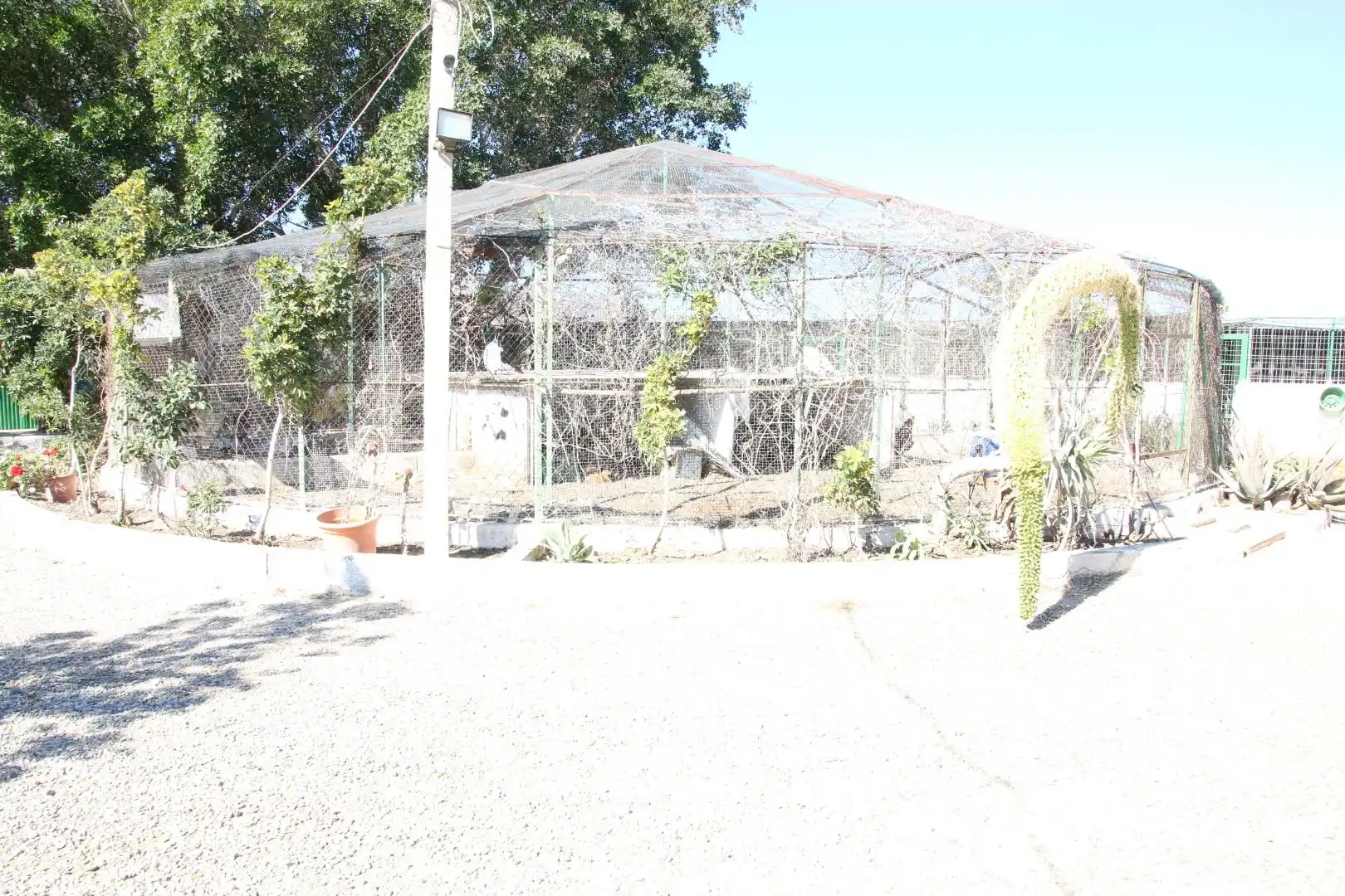 Exterior view of Residential for sale in Pechina