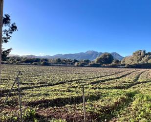 Finca rústica en venda en Campanet amb Terrassa i Traster