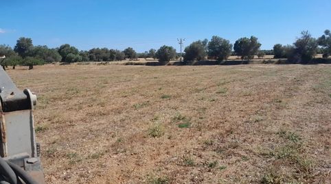 Foto 3 de Finca rústica en venda a Carrer de la Lluna, 8, Porreres, Illes Balears