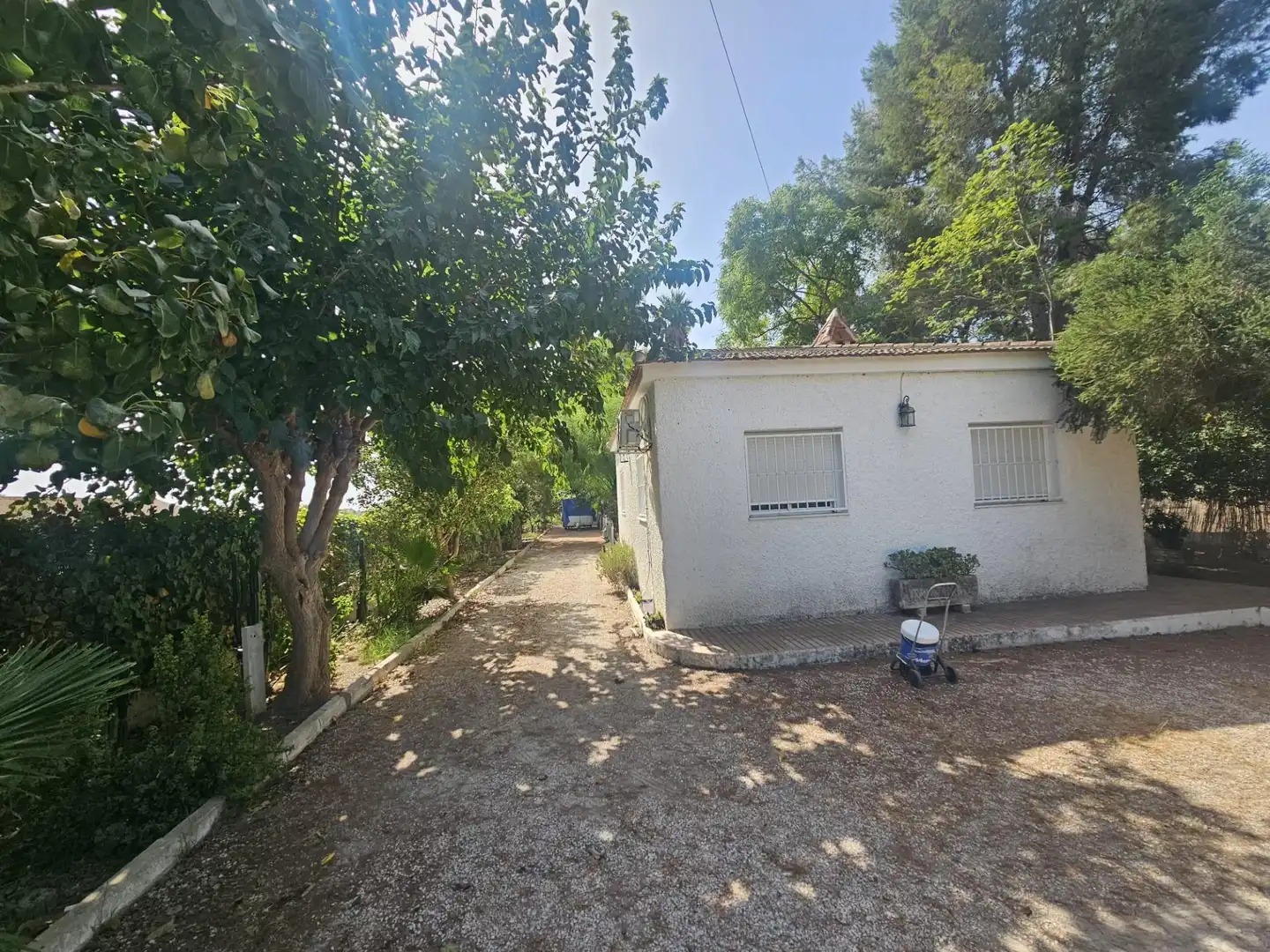 Casa con jardín en venta en Dolores, imagen 4