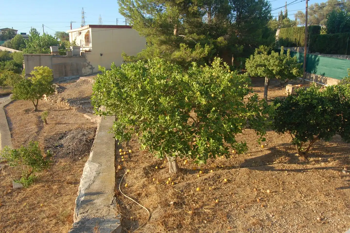 House with pool for sale in Camí de Sant Jordi, imagen 41