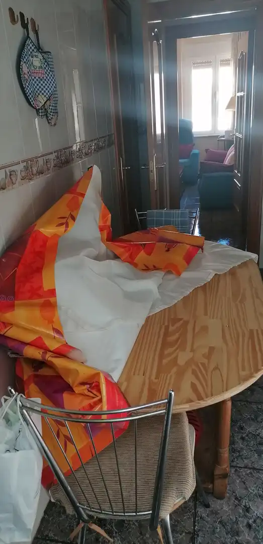 Habitació a Paseo del Gran Capitán, Vidal