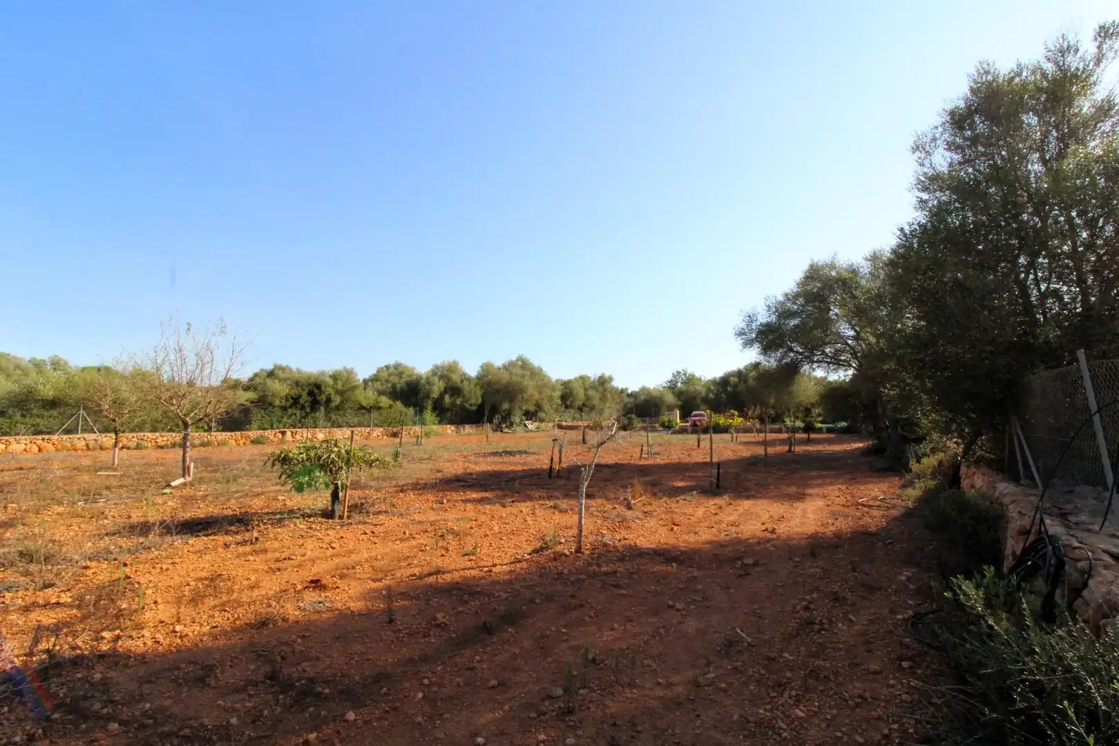 Terreny rústic en venda a Llucmajor pueblo, imagen 12