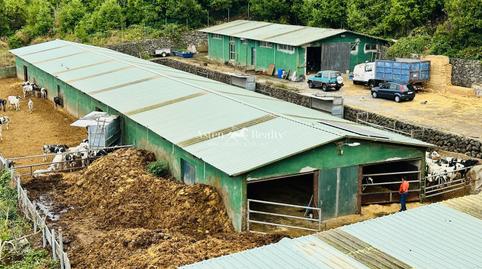 Photo 2 of Premises for sale in El Drago, Garachico, Santa Cruz de Tenerife