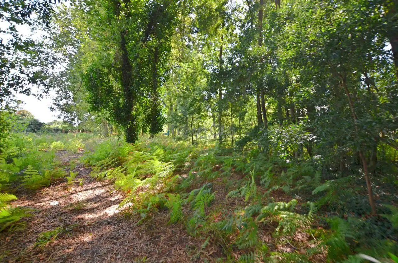 Wohnbaugrundstück zum Verkauf in LUGAR A COSTA, imagen 7