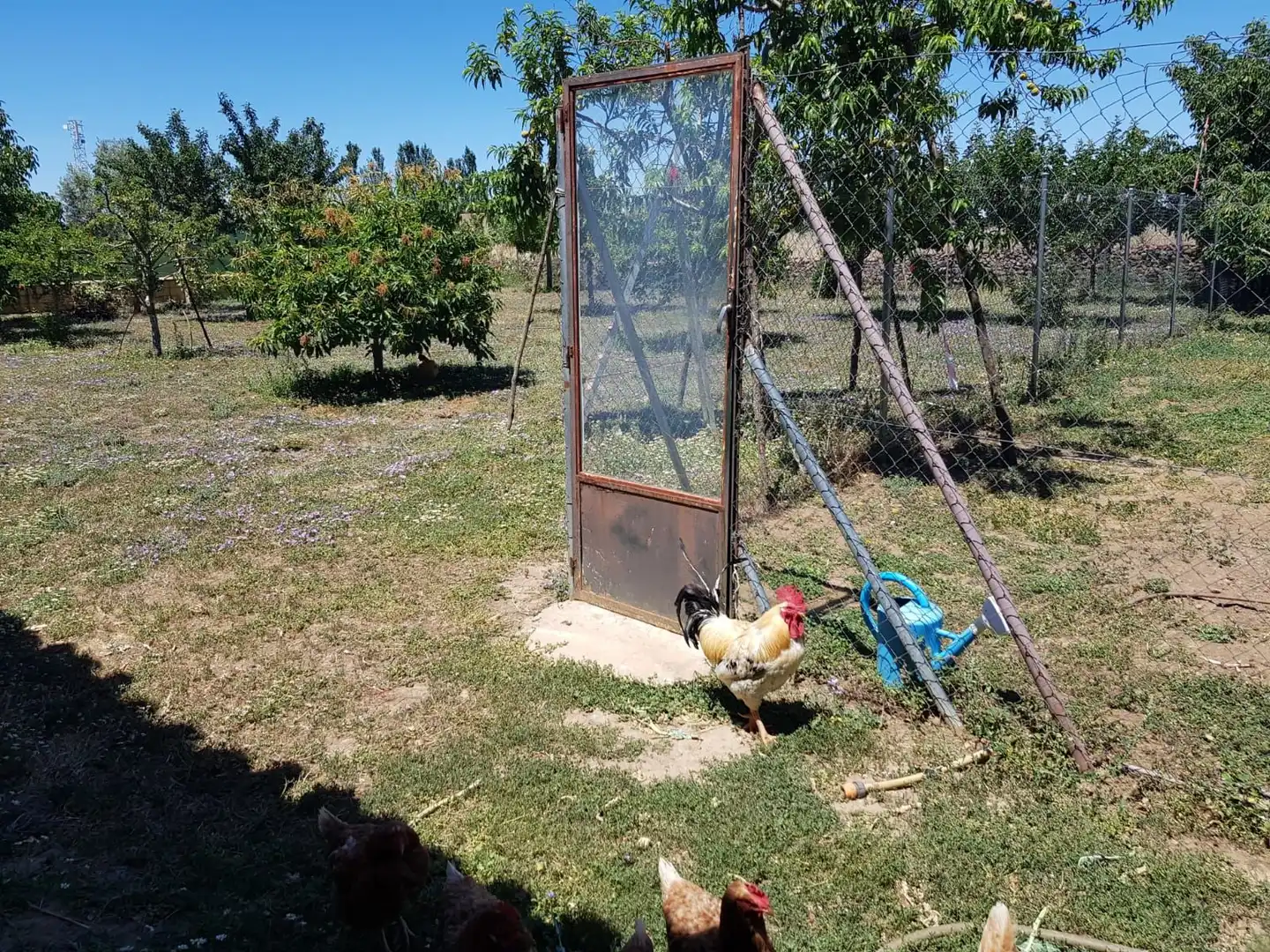 Jardí de Casa o xalet en venda en Aldehuela de Yeltes amb Calefacció, Moblat i Forn