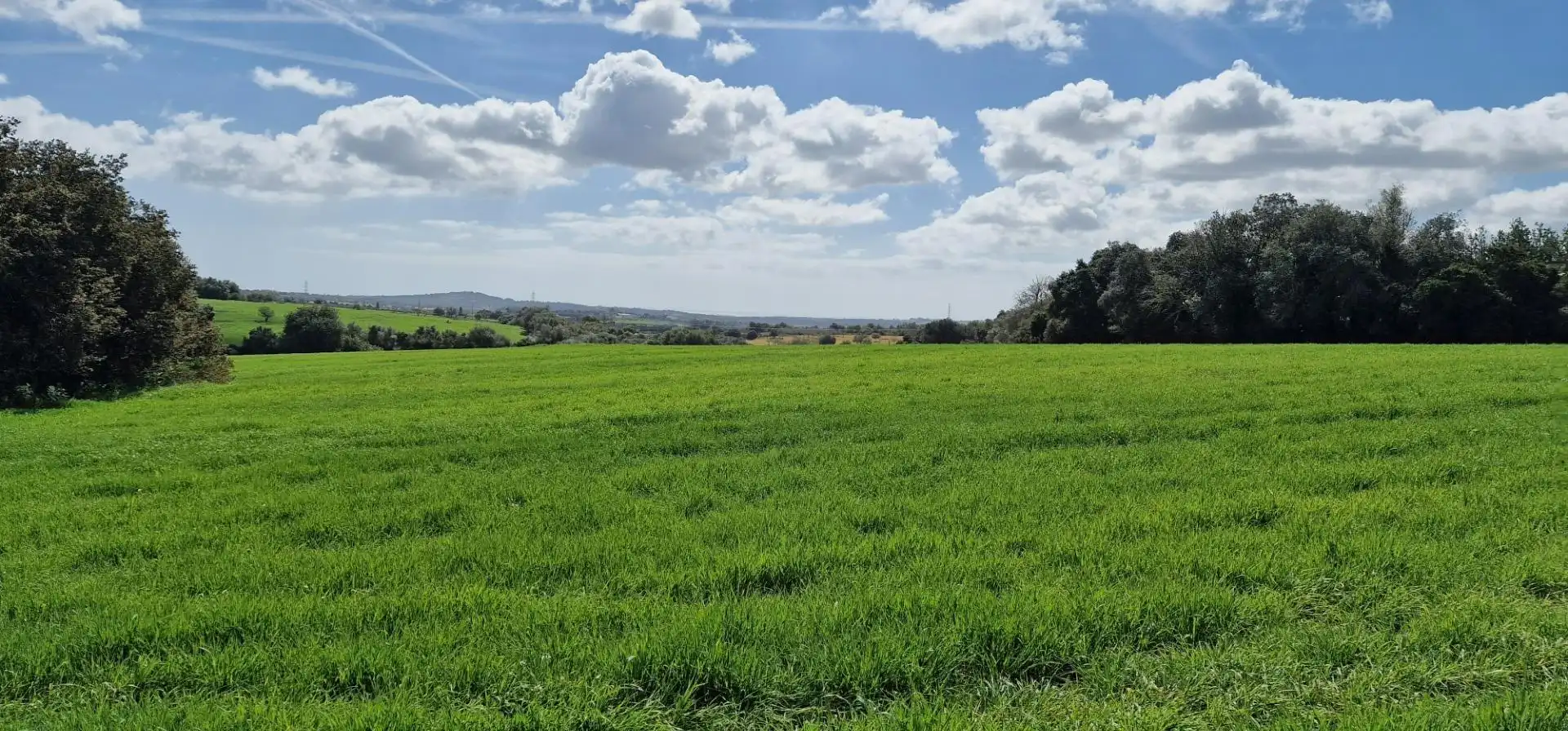 Country homes for sale in Manacor
