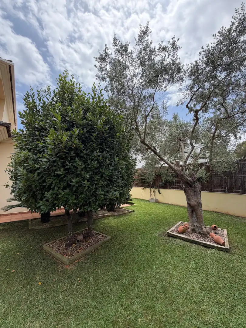 Detached house with pool for sale in Can Picafort, imagen 4
