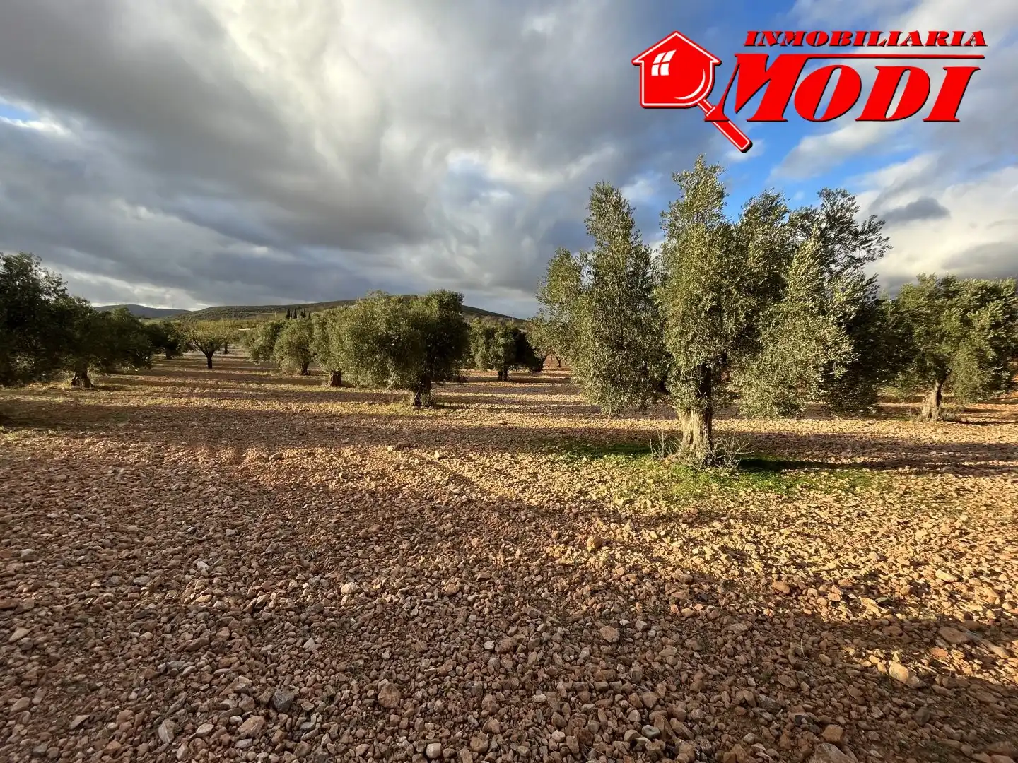 Terrenys i solars en venda a Villamena, imagen 2